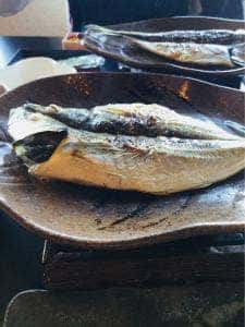 ドッグパレスリゾート箱根