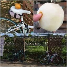 大下園 フルーツスタンド