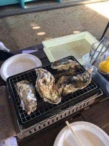 めで鯛食堂 加太貝センター