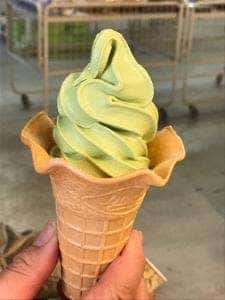 山のおちゃやさん