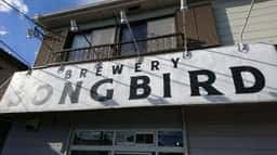 SONGBIRD BEER