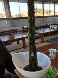天然温泉 海辺の湯 湯上り処