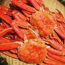 湯快リゾート 嬉野館