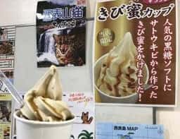 ショップ じゅごん