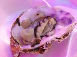 光のビアガーデン