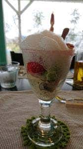 トラットリア グリーン