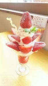 Cafe Berry Very Labo