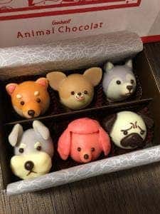 ゴンチャロフ 高島屋新宿店