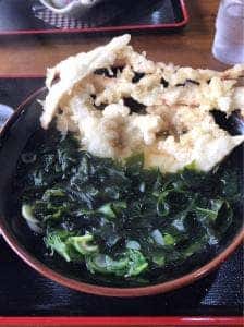 うどん人生 たもん