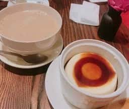 cafe earth