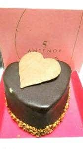 アンテノール 天満屋岡山店