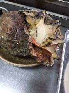 舞鶴かき小屋 美味星