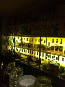 Hachiro's bar＆cafe