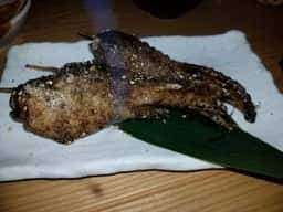 手羽先・もつ鍋・炊き餃子 くろ手羽