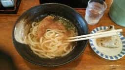 みの屋うどん本店