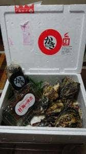 網元 津田正水産