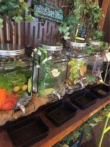engawa かふぇ食堂