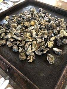 かき焼 うちの海