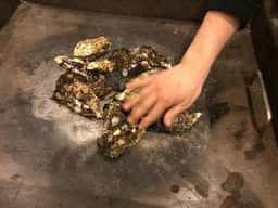 海鮮かき焼かくれ家