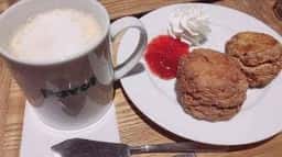 cafe de pavot