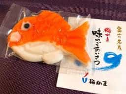 梅かま ミュージアム U-mei館