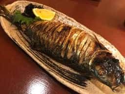 燦坐