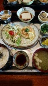 たぬきや