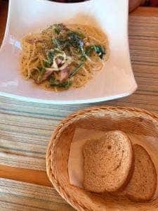 ドッグカフェ サニースポット