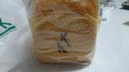 KLEINGEBACK