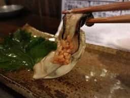 横町酒場 クマネコ