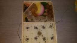 崎陽軒 アトレ川崎コンコース店