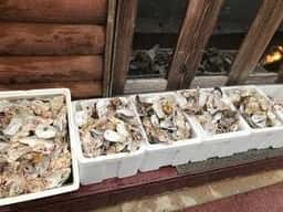 Oyster & Steak GuluGulu