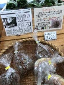 オアシスなんもく