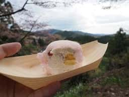 上千本 御幸の芝