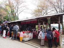 上千本 御幸の芝