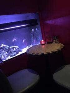 Bar fish