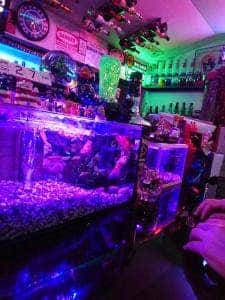 KANALOA