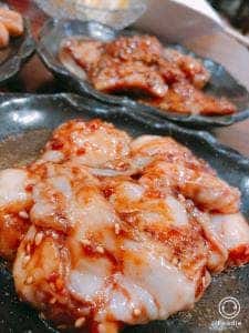 きこうえん