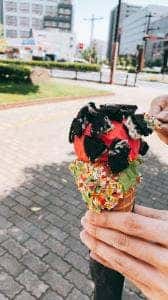 CRAZY ICE-CREAM
