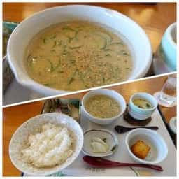 和食処 照葉庵 蔵元 綾 酒泉の杜