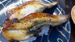 回転寿司 喜楽 高槻岡本店