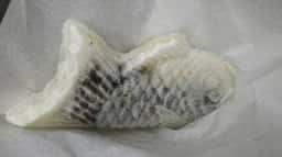 ぶっかけ亭本舗 ふるいち 倉敷本店