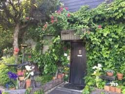 ビストロカノン