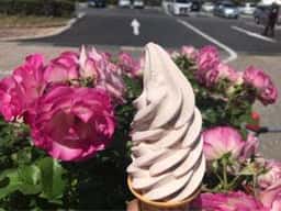 道の駅みなまた