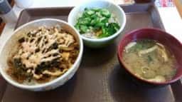 すき家 41号豊山店