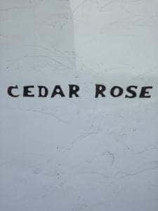 Cedar Rose