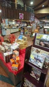 芝政ワールド ファミリーレストラン