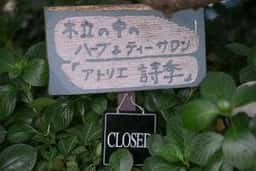 ティーサロン詩季