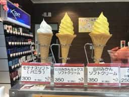 モテナス 山川SA上り ショッピングコーナー