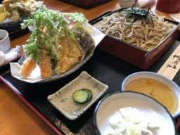 もみの木